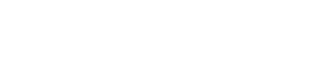 YLZ MEDIA
