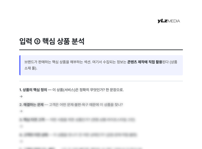 핵심 상품 분석 시트 미리보기